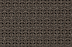 Screen Nature   1134 Bronze (Ende 31.12.2024)