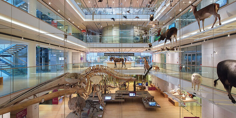 Bureaux du Musée MUSE