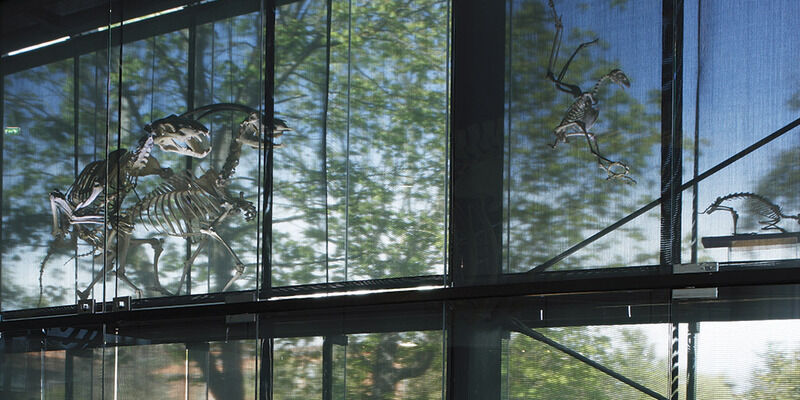 Muséum d\'Histoire Naturelle